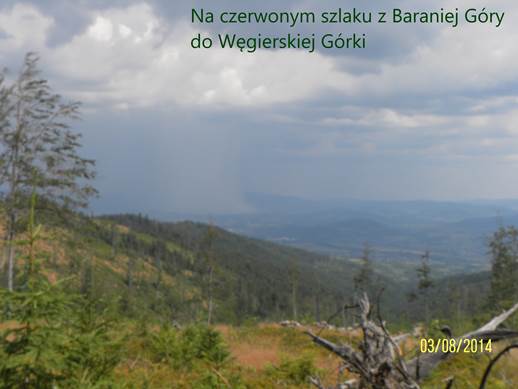 Opis: D:\Zdjcia z tras\Barania Gra 3.08.2014r\SAM_1847 - 1.jpg